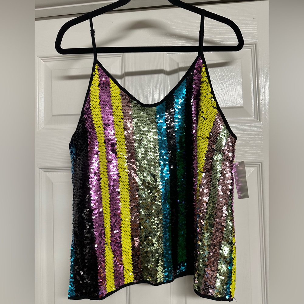 Sequin Striped Camisole in Multicolor